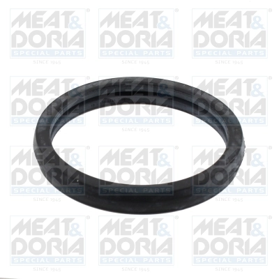 Seal, thermostat